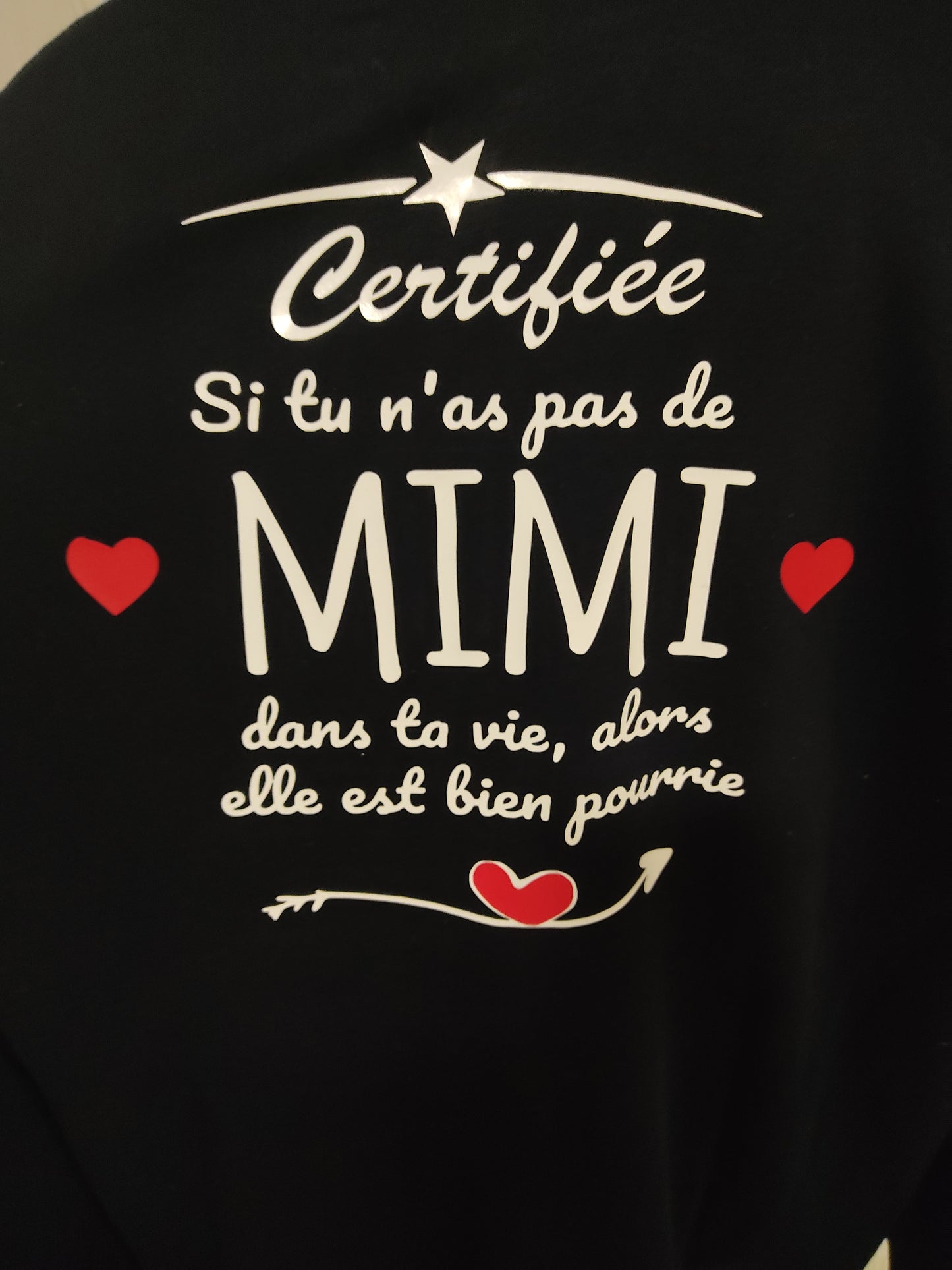 T-Shirt Adulte ( Particulier )